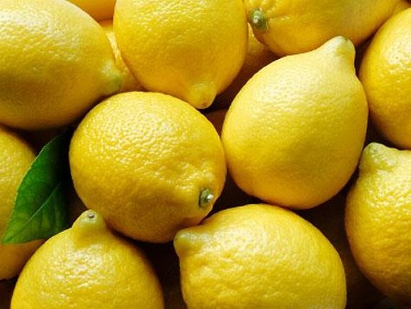 obrzek ke lnku Citron - Citronk limonov (Citrus limon)