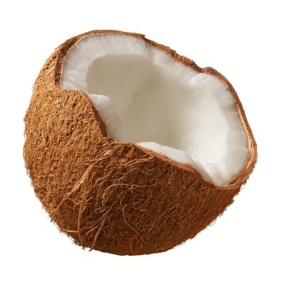 obrzek ke lnku Kokosov oech  kokosovnk oechoplod