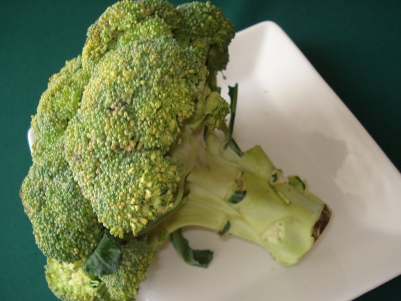 obrázek ke článku Brokolice 